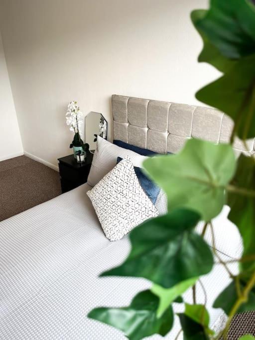 3 Bedroom House With Free Parking Чатам Экстерьер фото