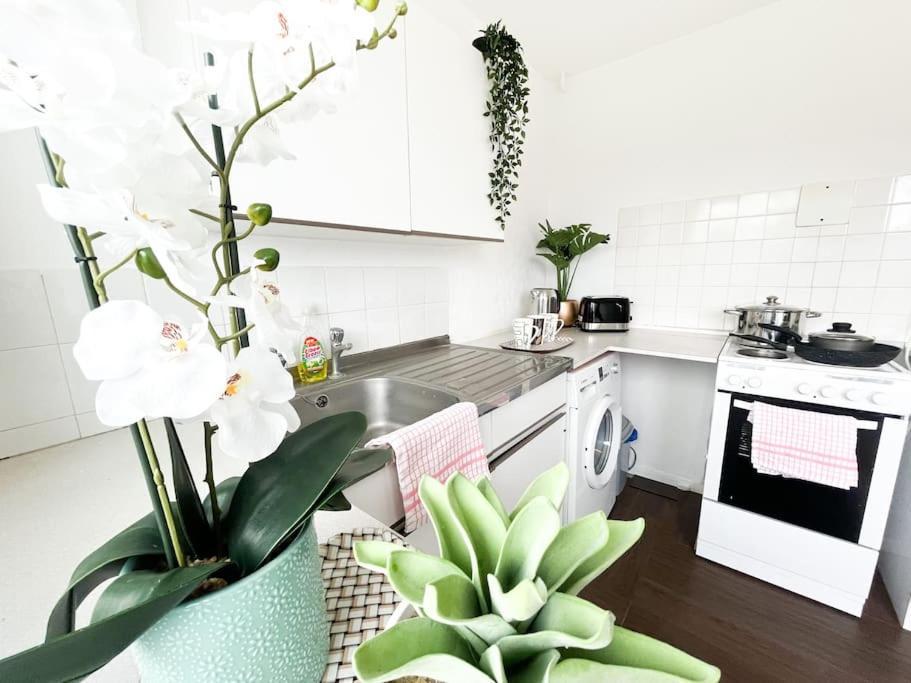 3 Bedroom House With Free Parking Чатам Экстерьер фото